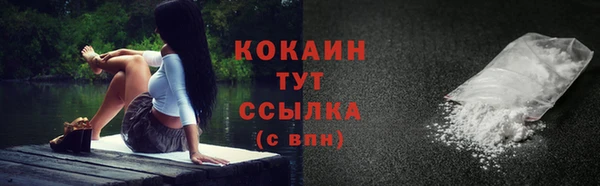 гидра Семилуки