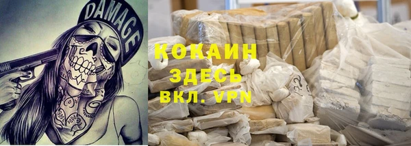 гидра Семилуки