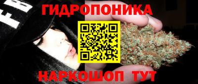 эйфоретик Кинель