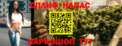 сатива Балахна