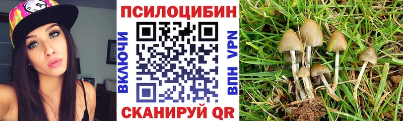 мега сайт  Старая Русса  Галлюциногенные грибы GOLDEN TEACHER 