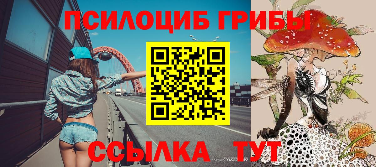 Псилоцибиновые грибы ЛСД  Старая Русса 