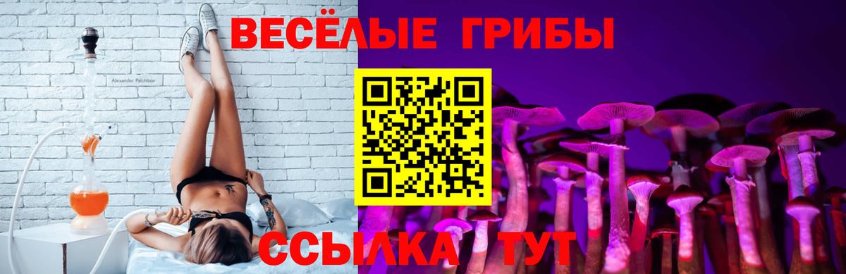 Псилоцибиновые грибы GOLDEN TEACHER  Вход с VPN  Старая Русса 