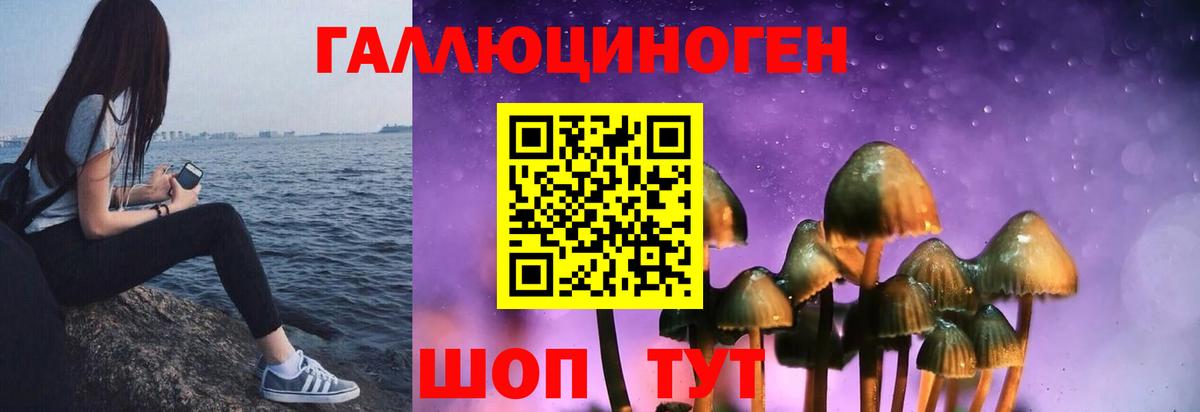 Псилоцибиновые грибы мицелий Старая Русса