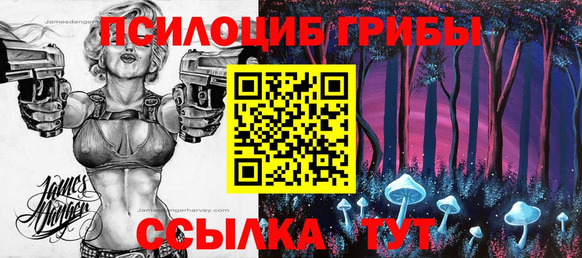 Псилоцибиновые грибы Psilocybe Старая Русса